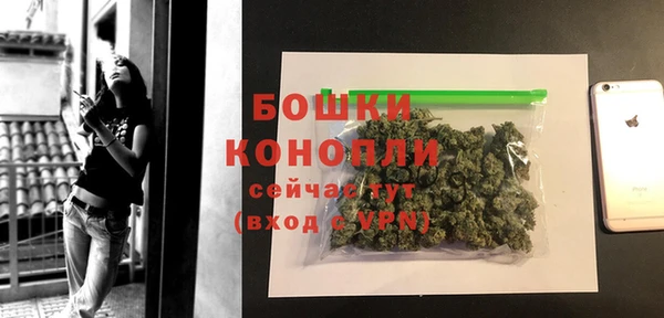 дурь Лиски