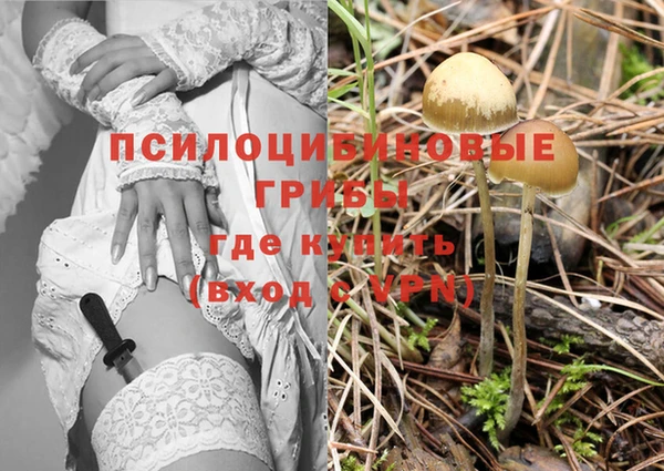 метадон Лихославль