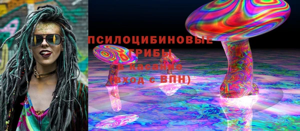 дурь Лиски