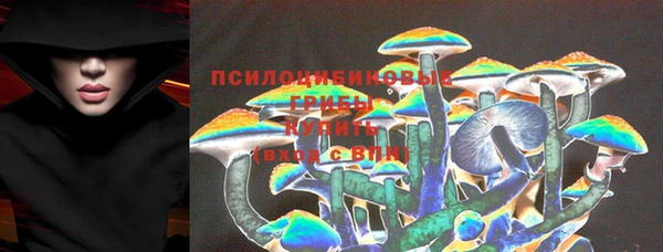 дурь Лиски